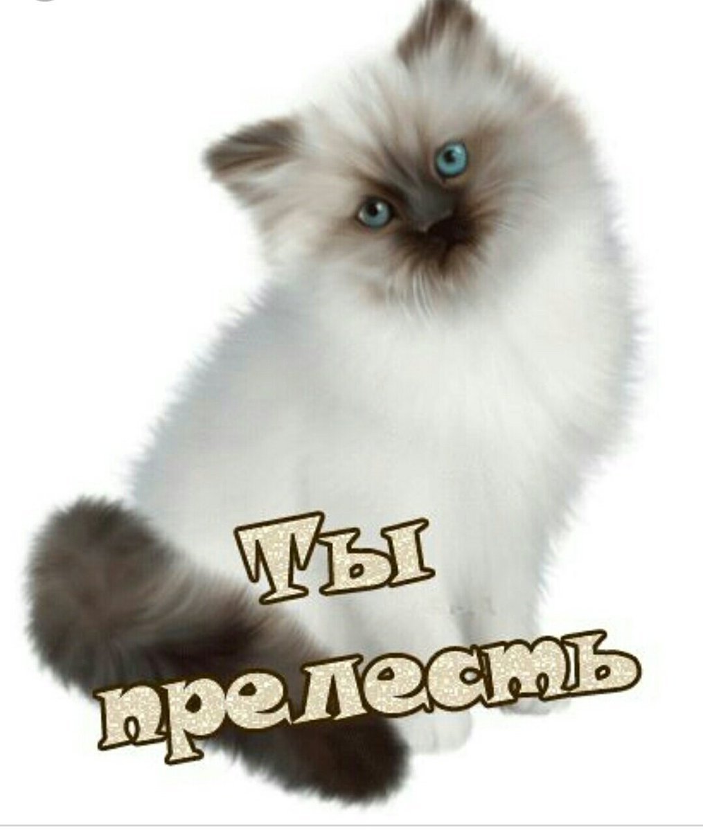 Стикер прелесть