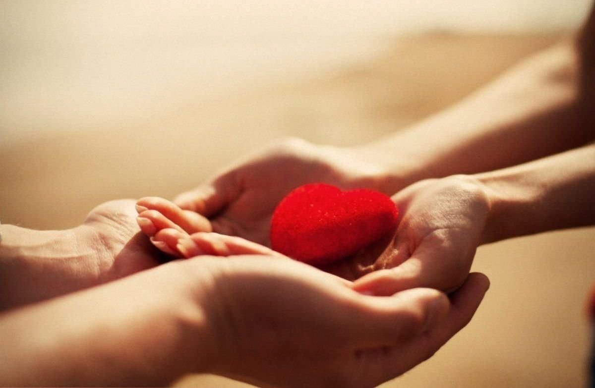 Нежность сердца