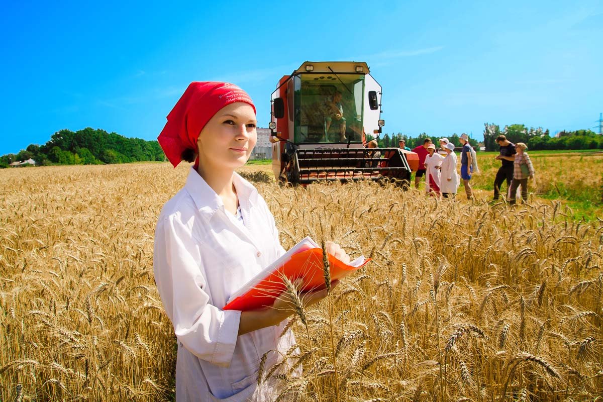 Мужчина в поле