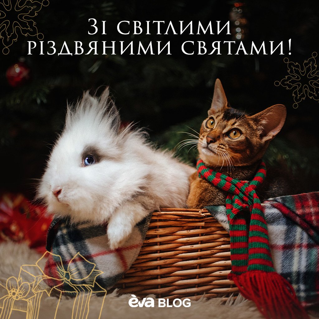 Милые котята и кролики