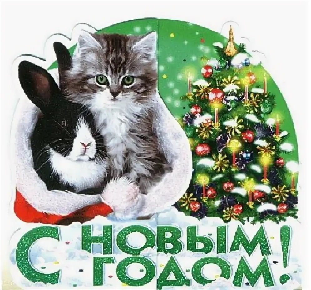 Кролик и кошка