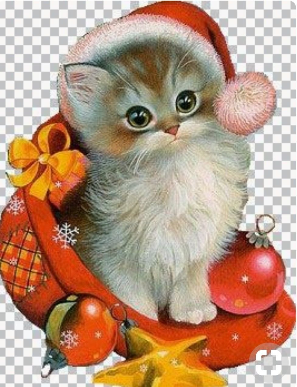 Новогодние коты