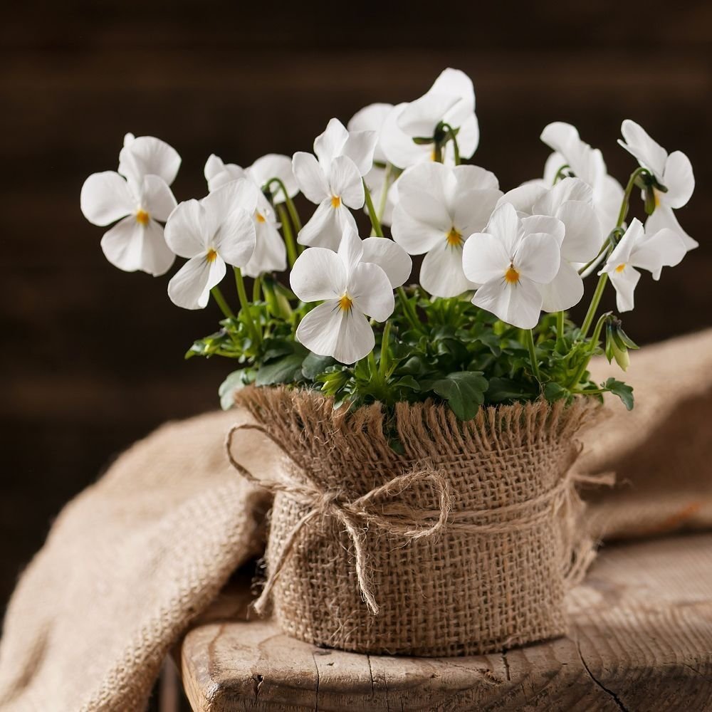 Душевного тепла и добрых мыслей