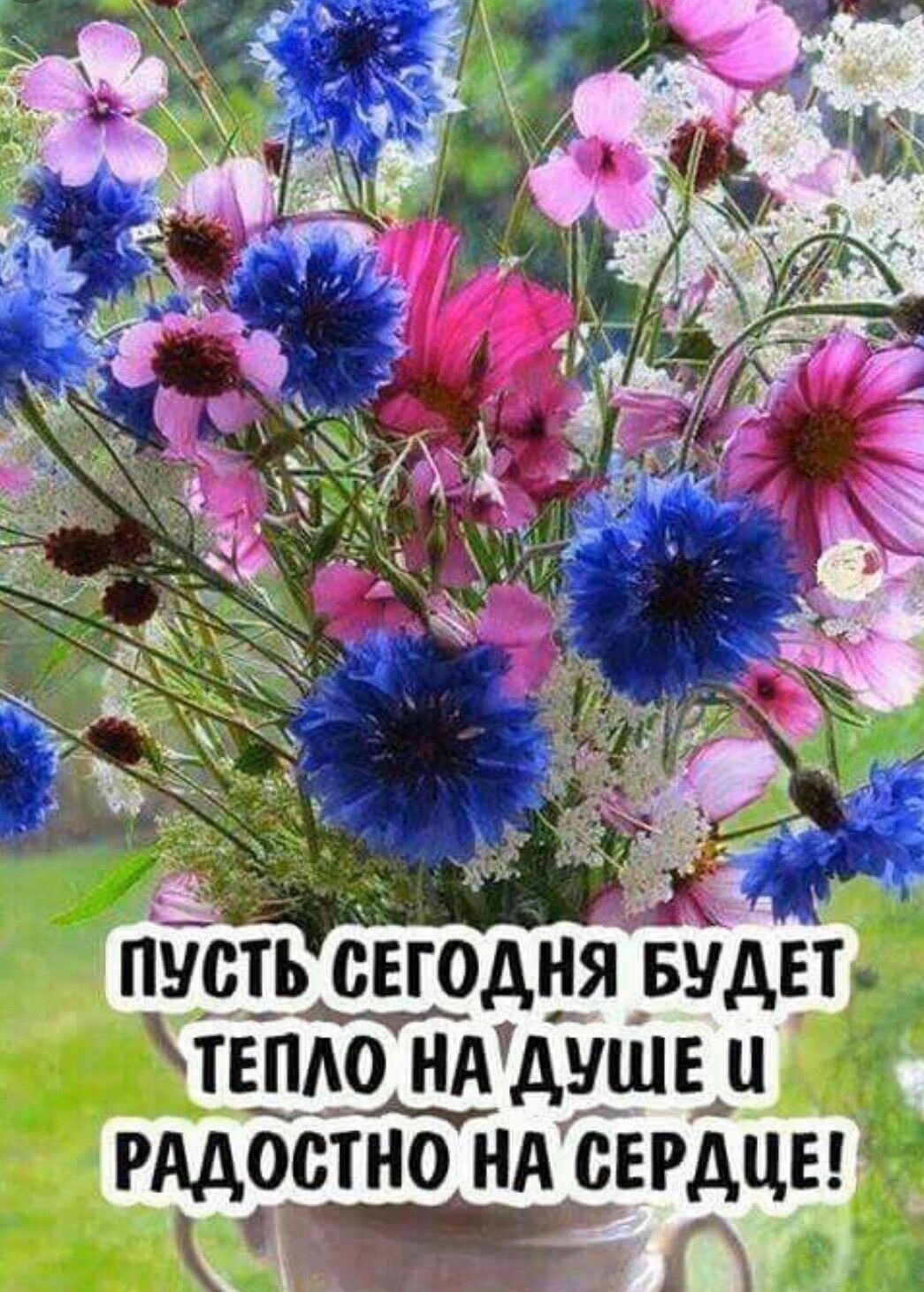 Душевной гармонии и тепла