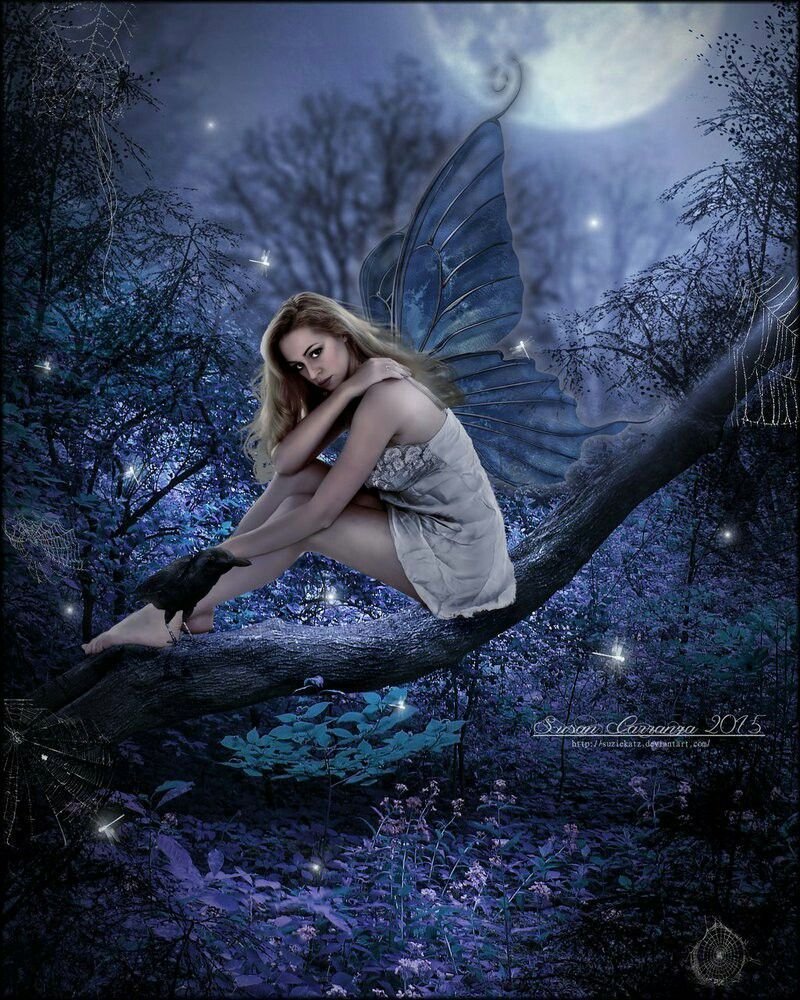 Образ феи ночи