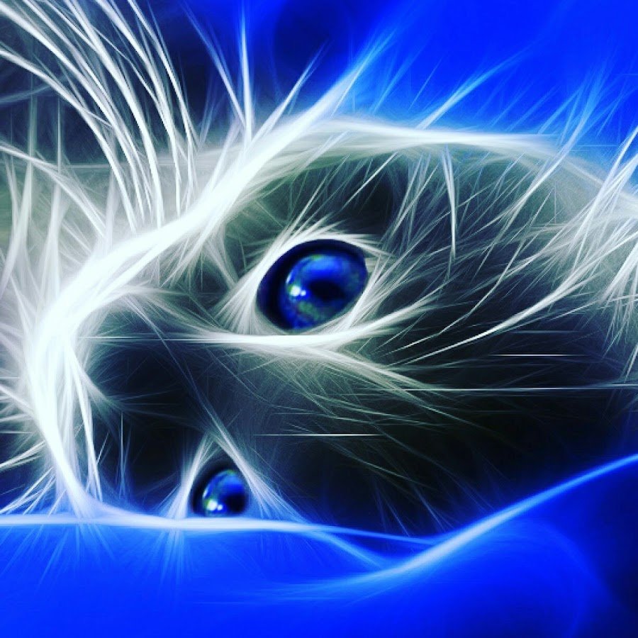 Кошка на фиолетовом фоне