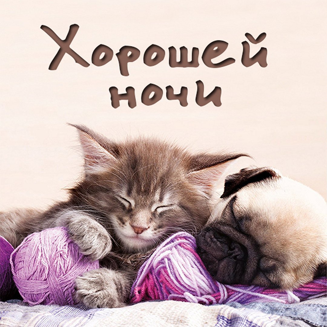 Открытки выздоравливай скорее