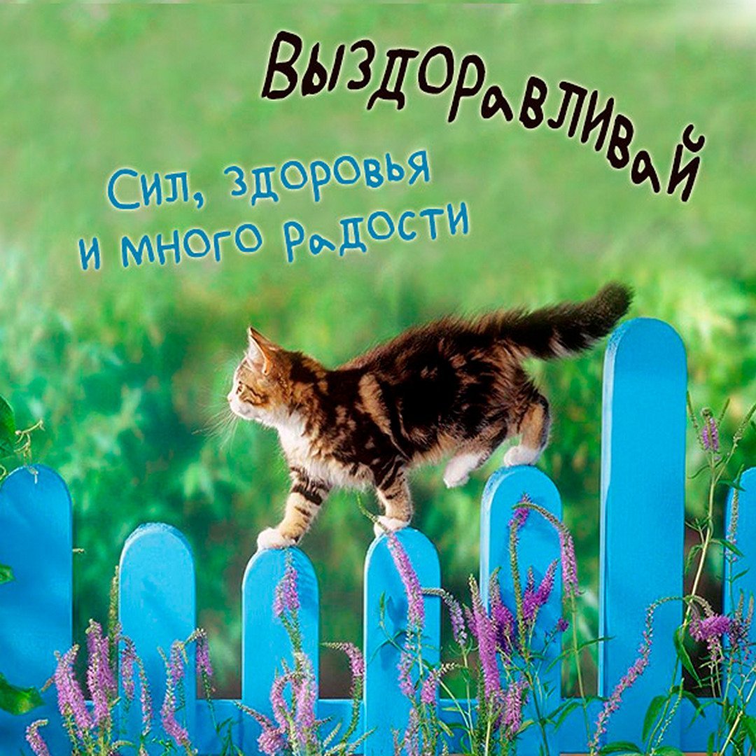 Доброе утро, Медвежонок!