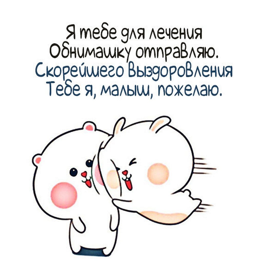 Коты Алексея Долотова любовь