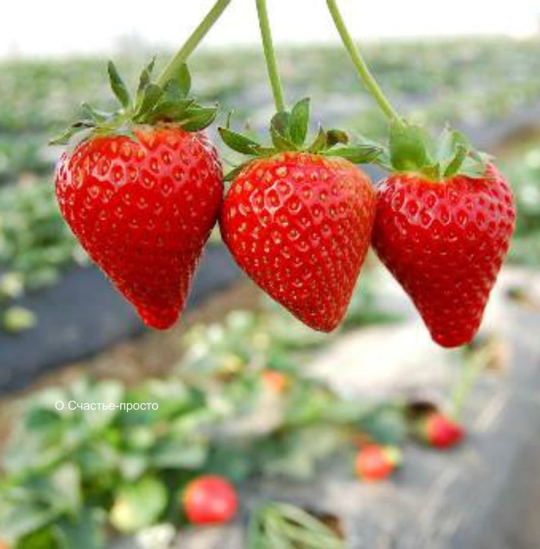 С добрым утром и хорошим днём позитив