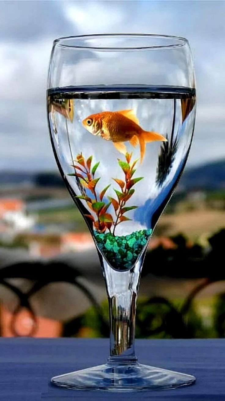 Рыбка в бокале