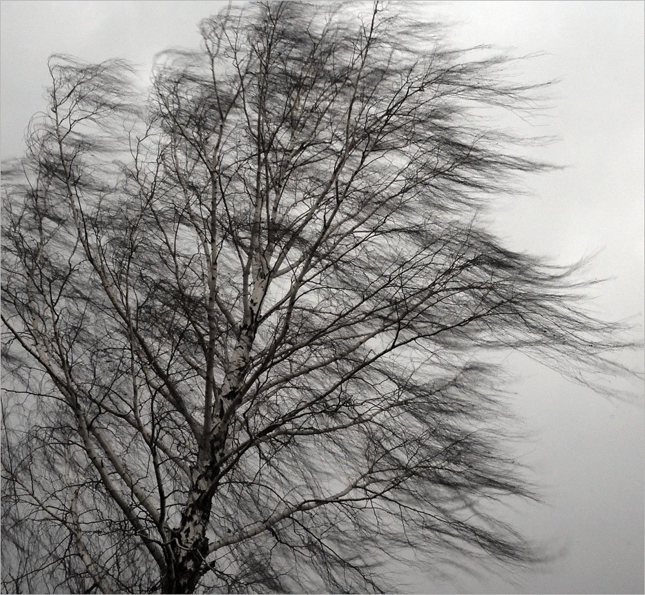 Усиление ветра