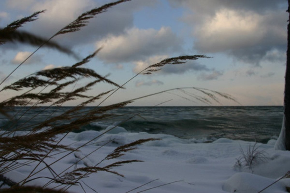 Порывы ветра