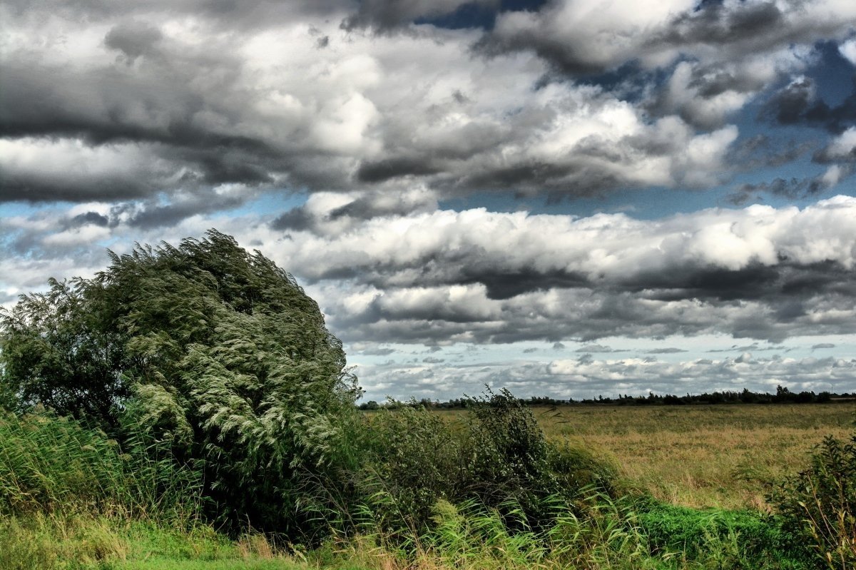 Сильный ветер