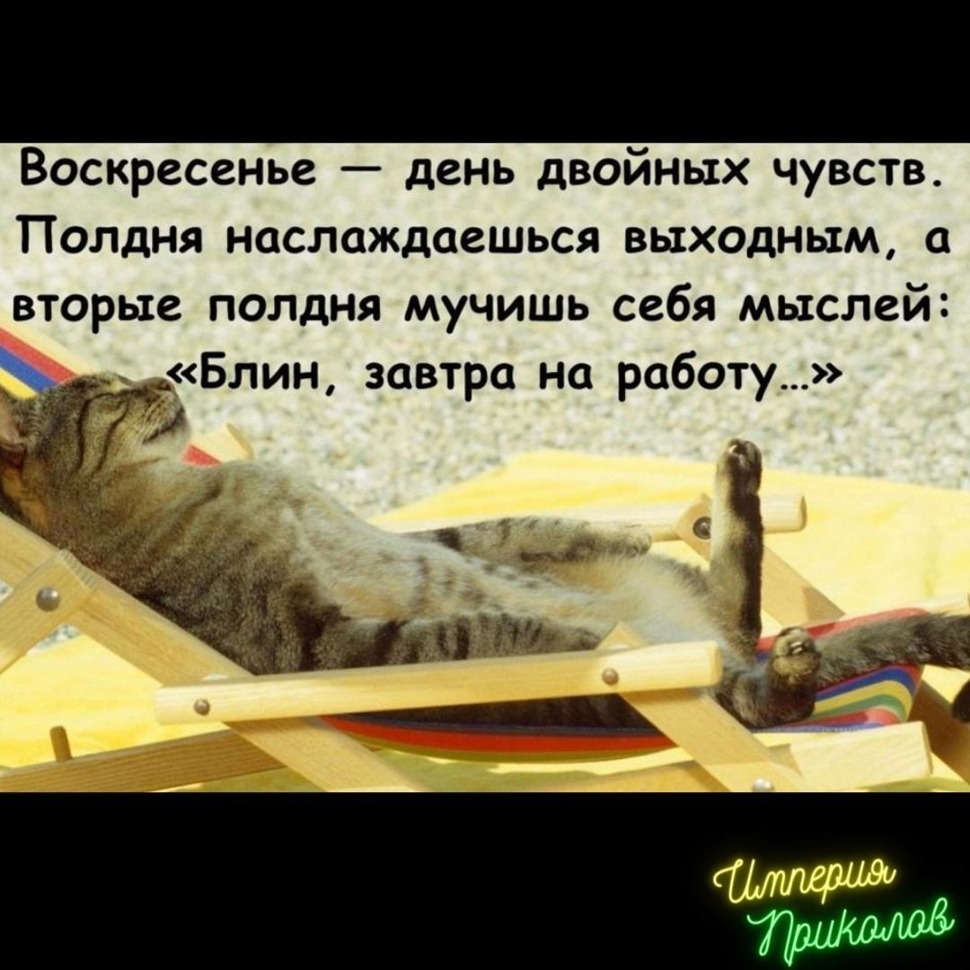 Работа в воскресенье картинки прикольные