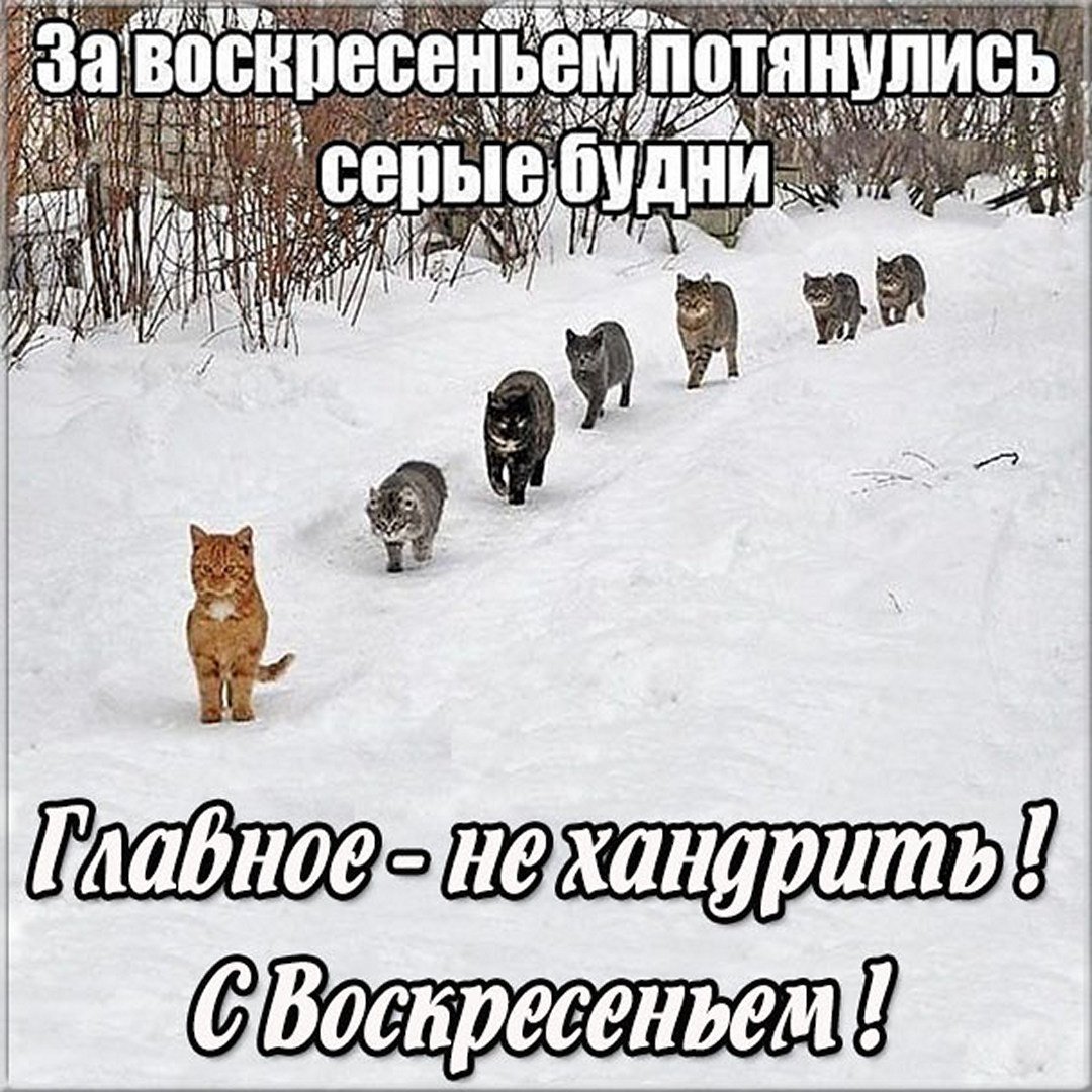 Воскресенье приколы