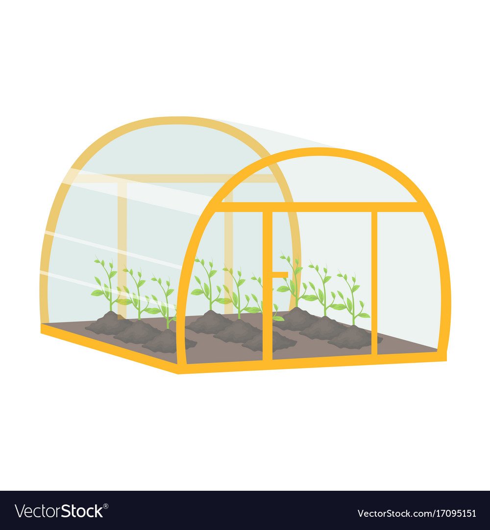 Теплица для растений вектор