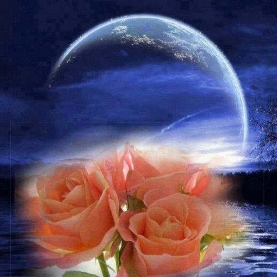 Самой чудесной ночи