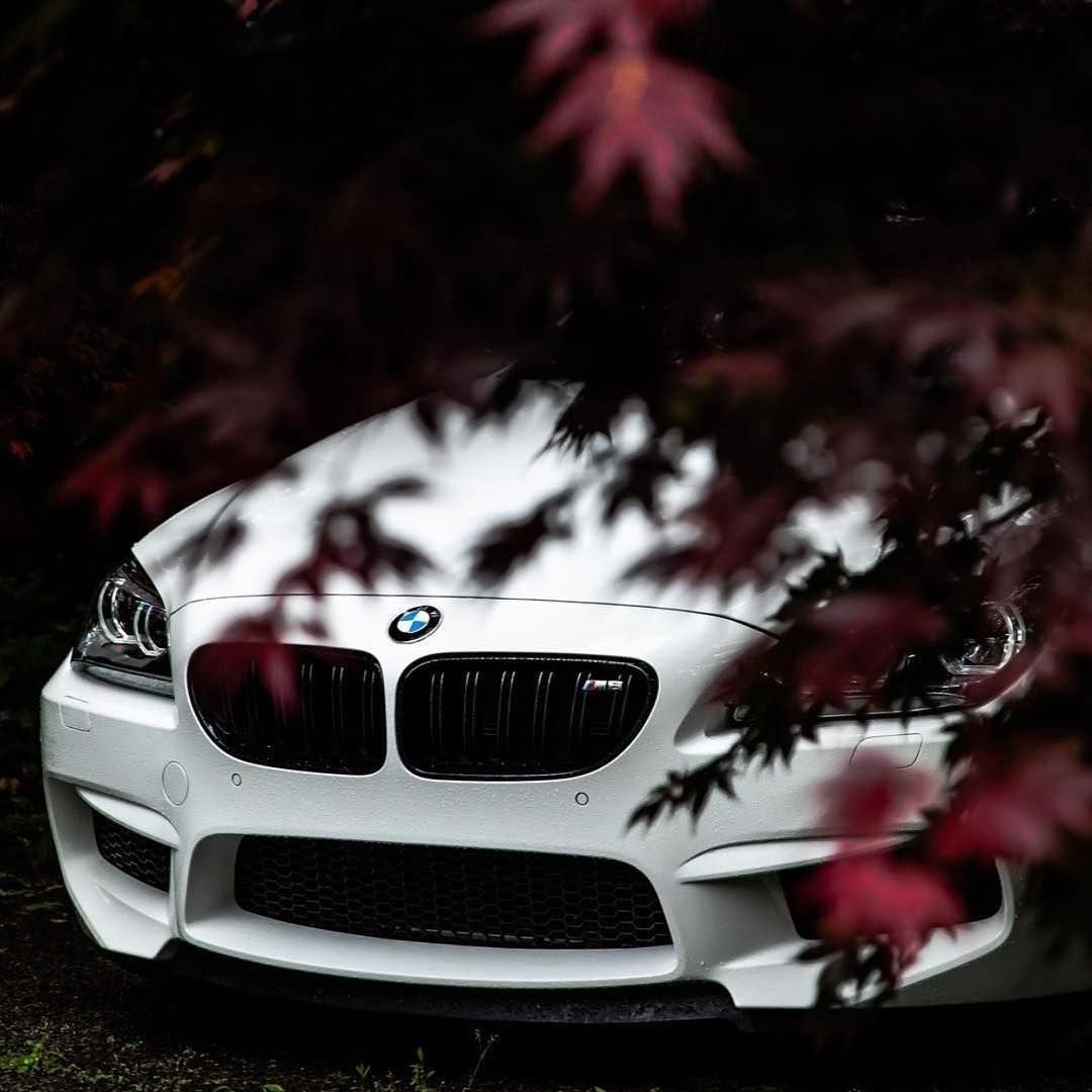 Форд Мустанг 2019 зимой