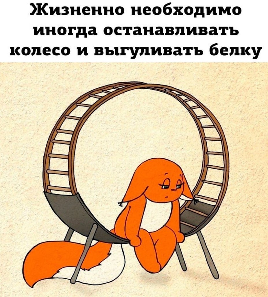 Уставшая белка в колесе