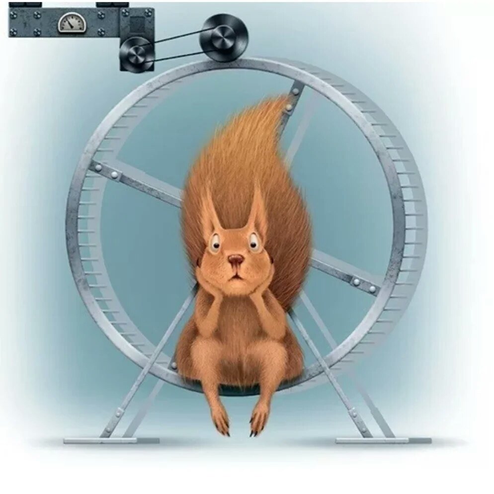 Белка в колесе прикол