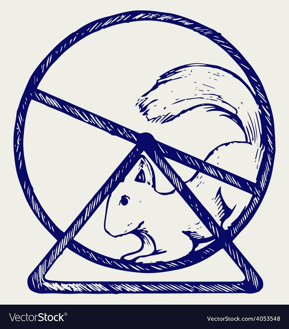 Белка в колесе