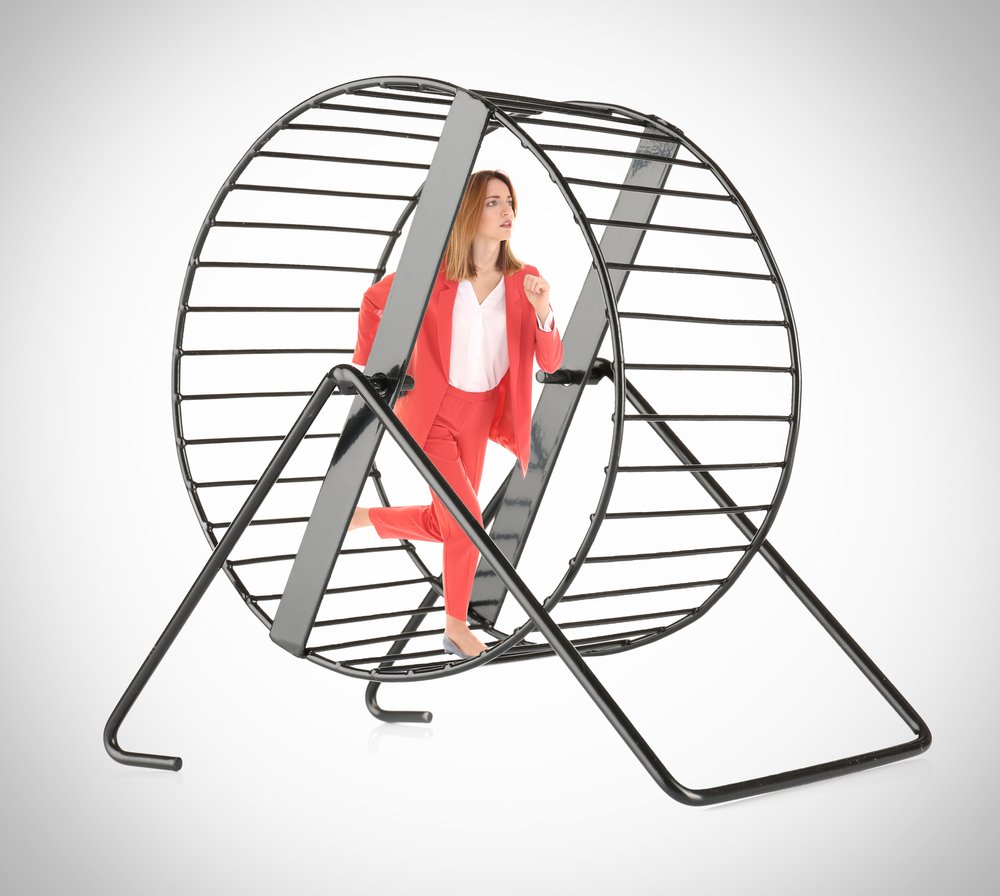 Игровой модуль белка в колесе