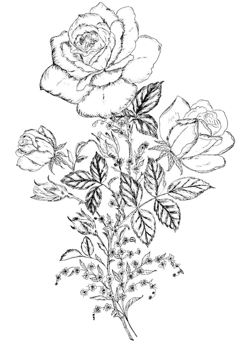 Цветы для выжигания