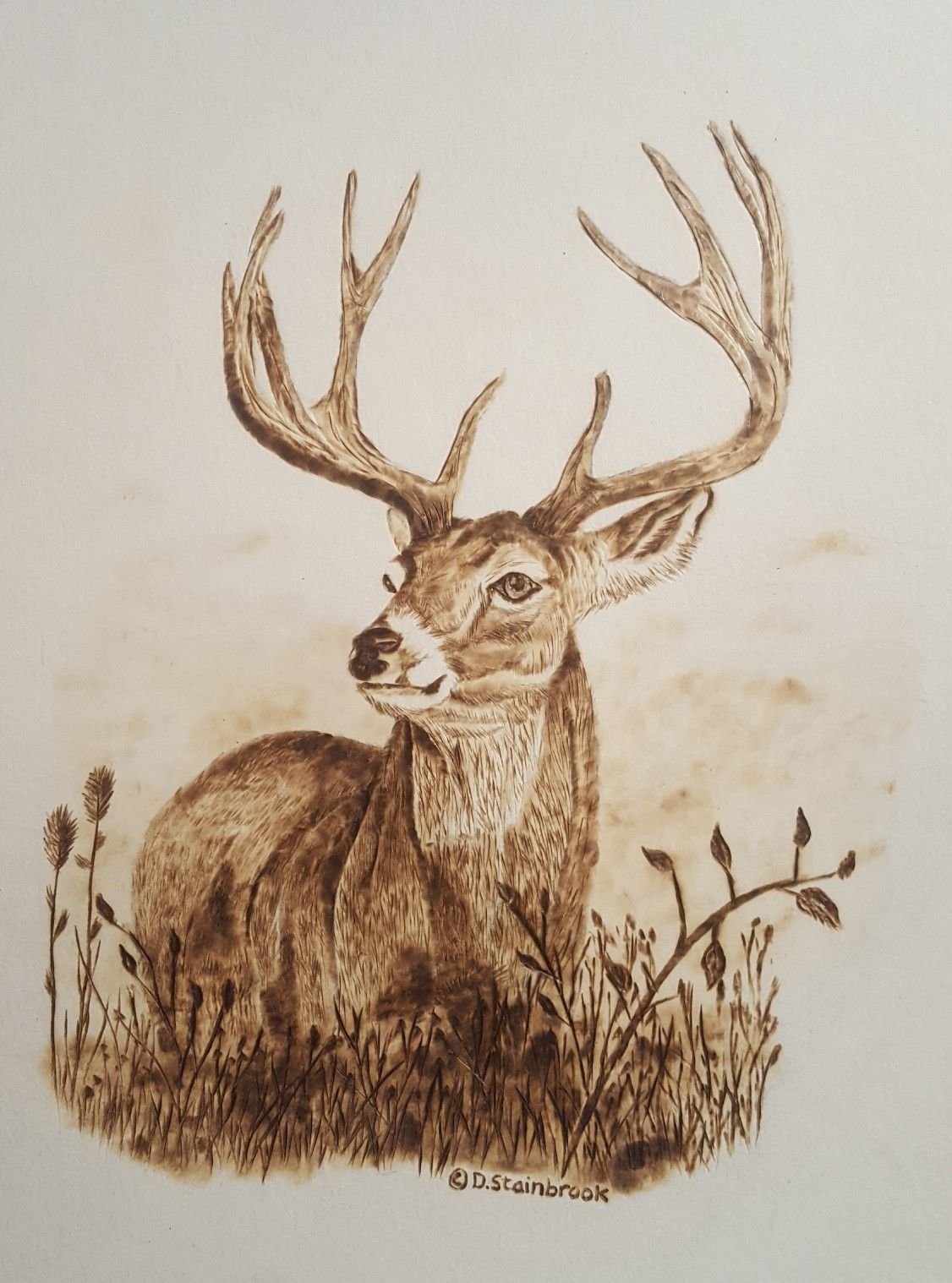 Олень для выжигания по дереву