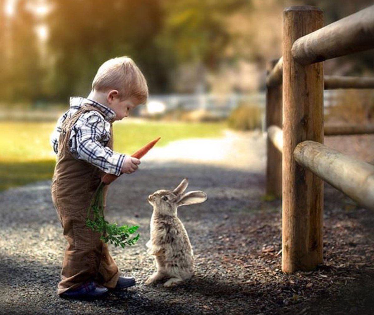 Доброта дети