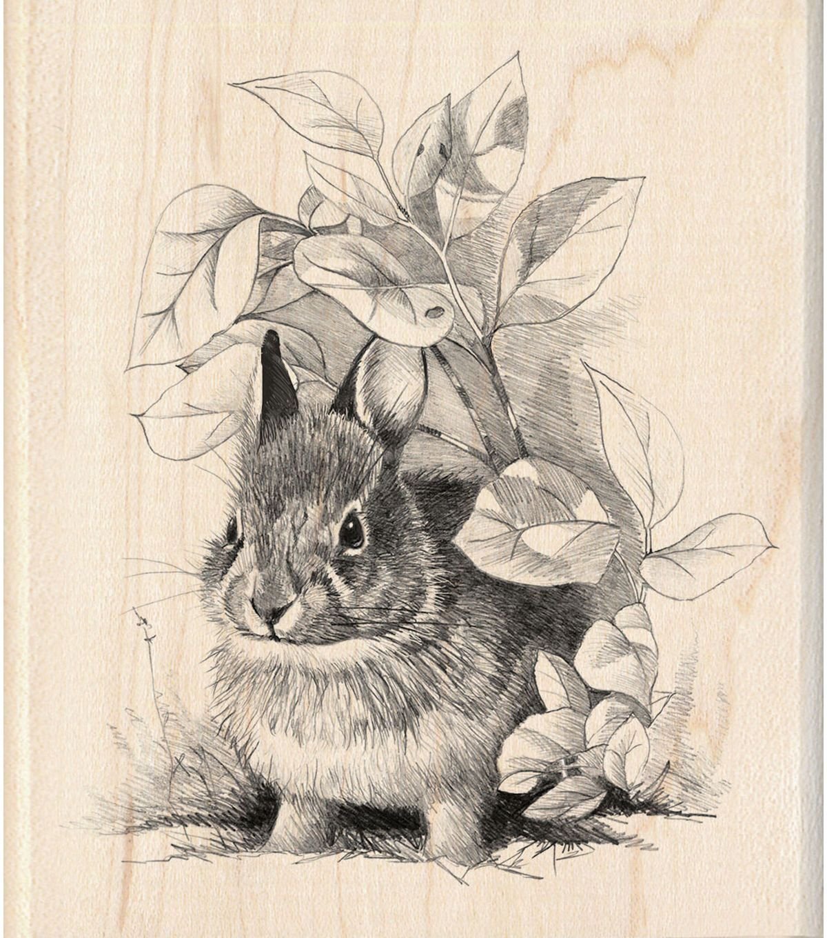 Винтажные иллюстрации животных