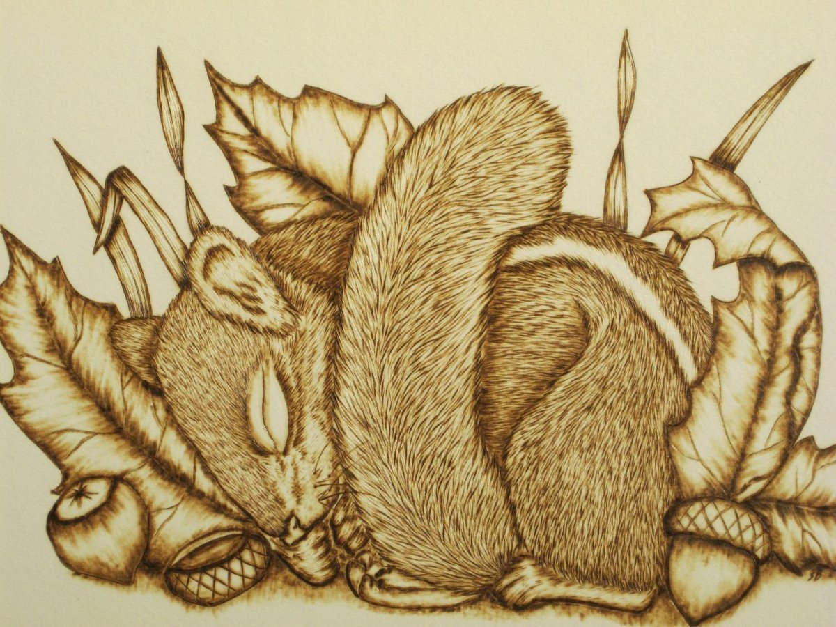 Рисунки для выжигания по дереву