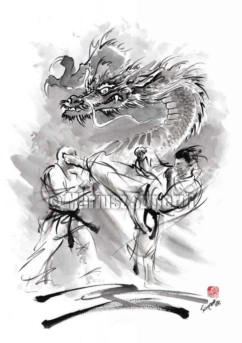 Каратэ киокусинкай арт