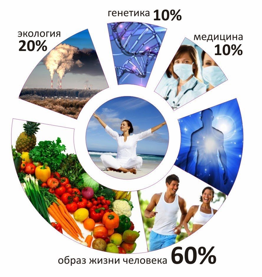 От здорового образа жизни зависит: