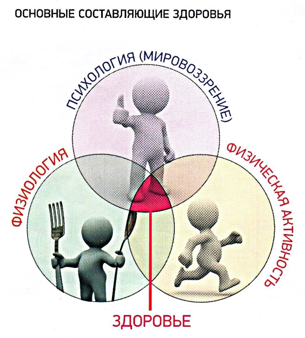 Картинки здоровье человека