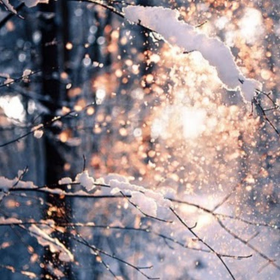 Приближение зимы