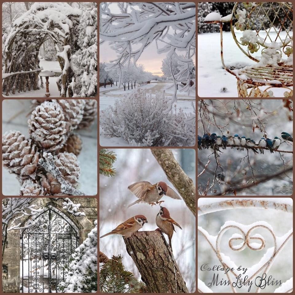 Зимний декор на коллаж