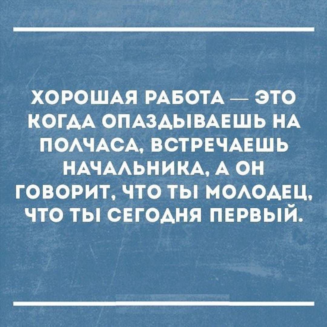 Шутки про написание диплома