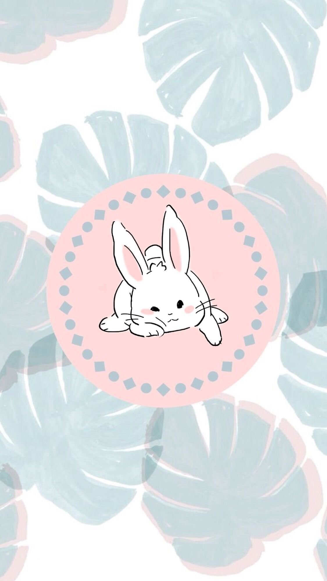 Обои на телефон заяц