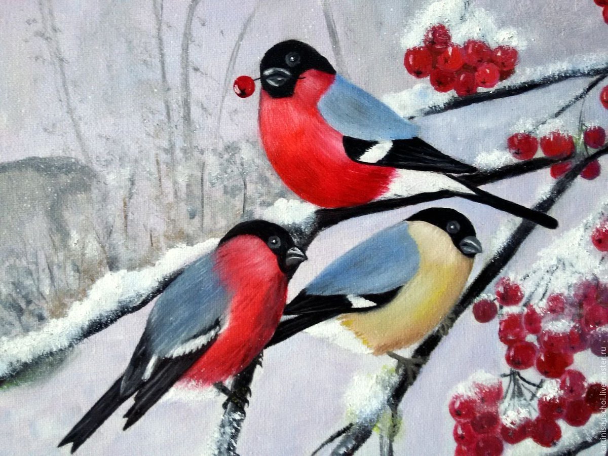 Снегирь на ветке рябины