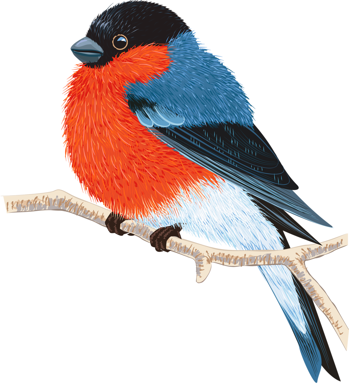 Мультик птичка и Снегири