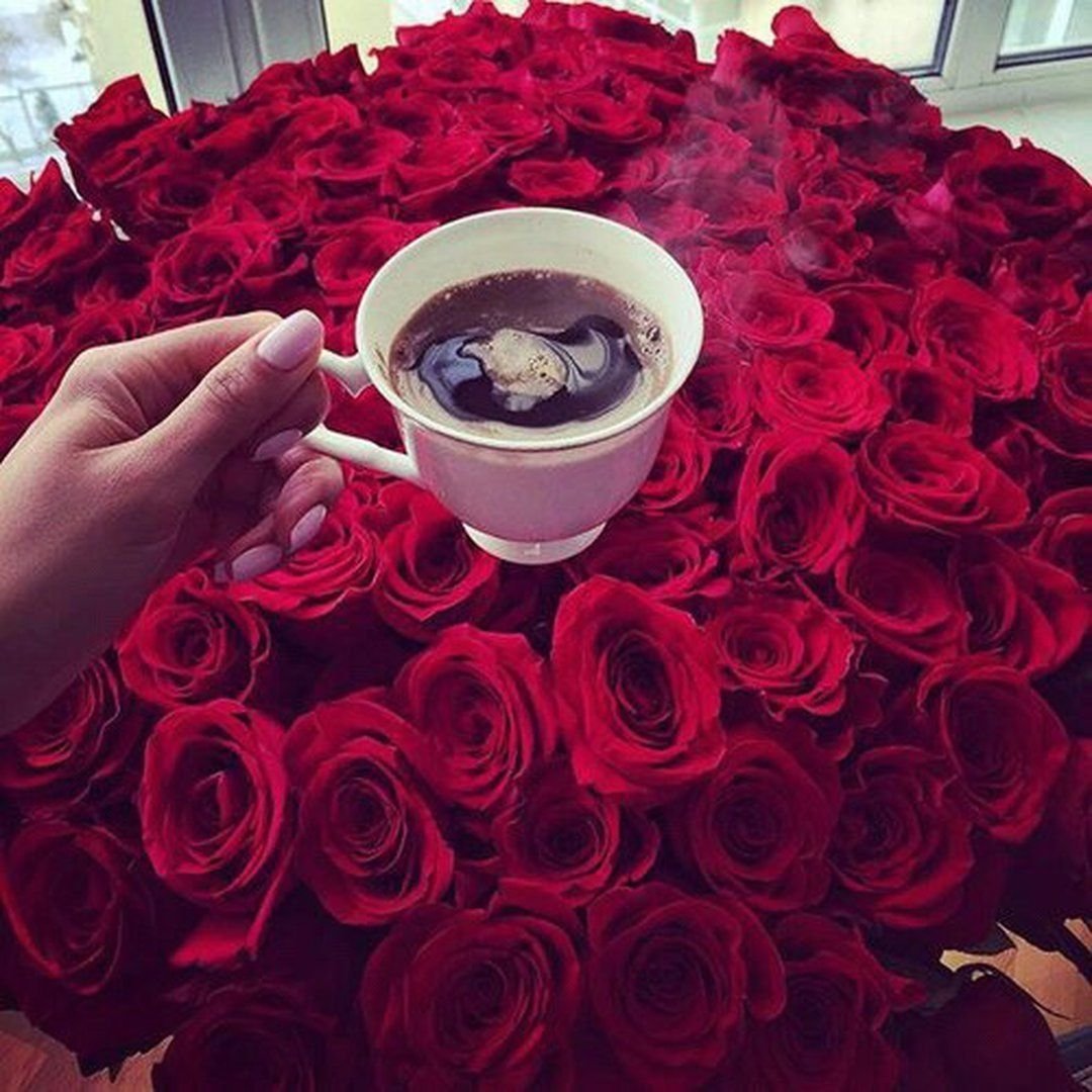 Утренние цветы для девушки