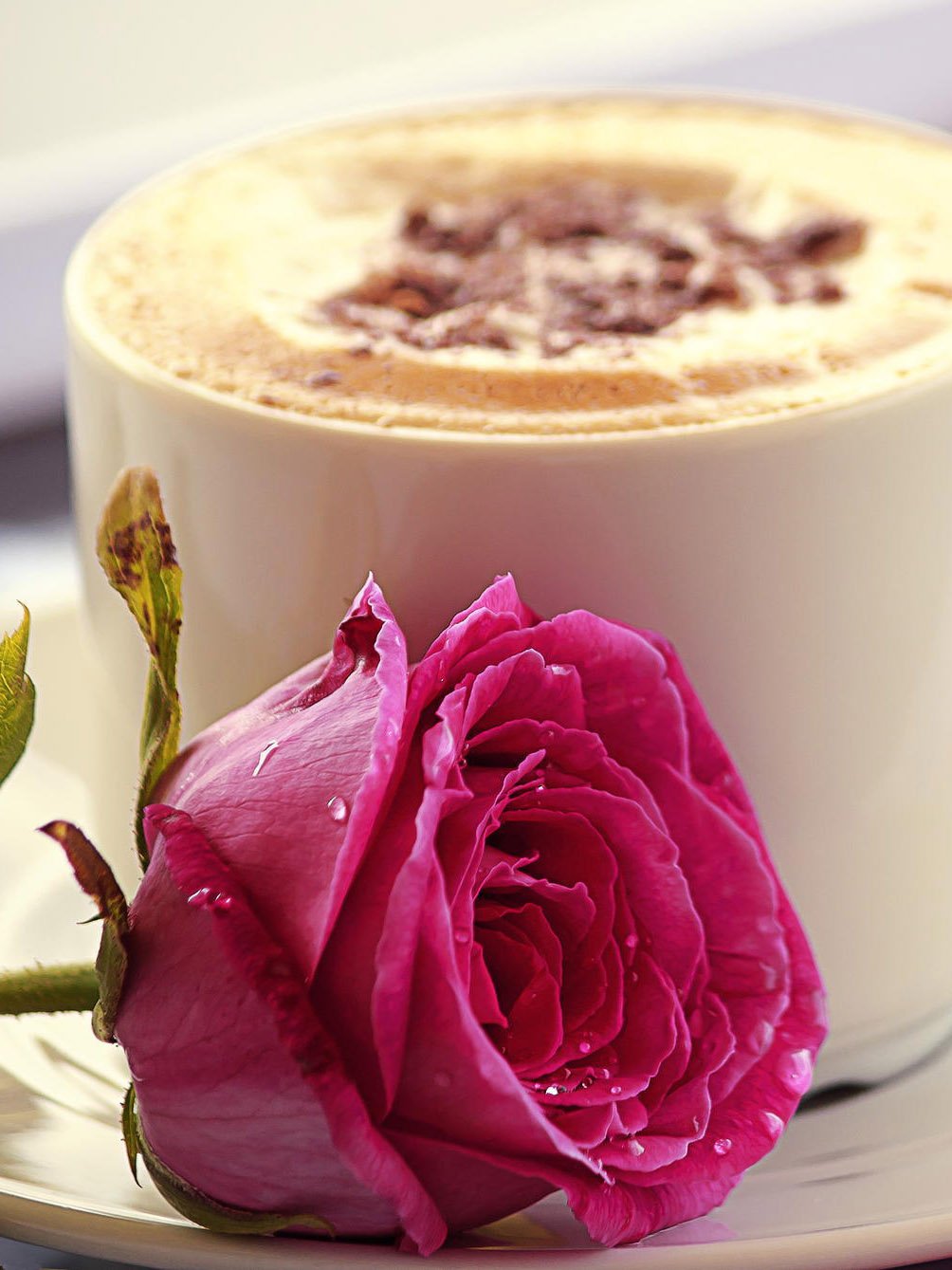 Цветы доброе утро красавица