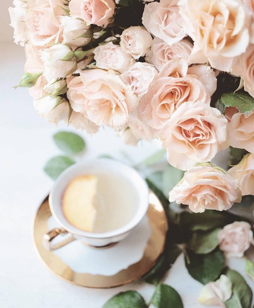 Нежные чайные розы