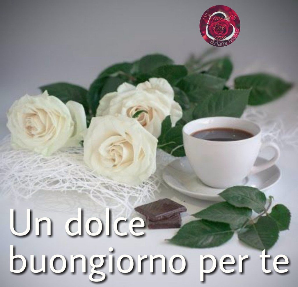 Белые розы и кофе