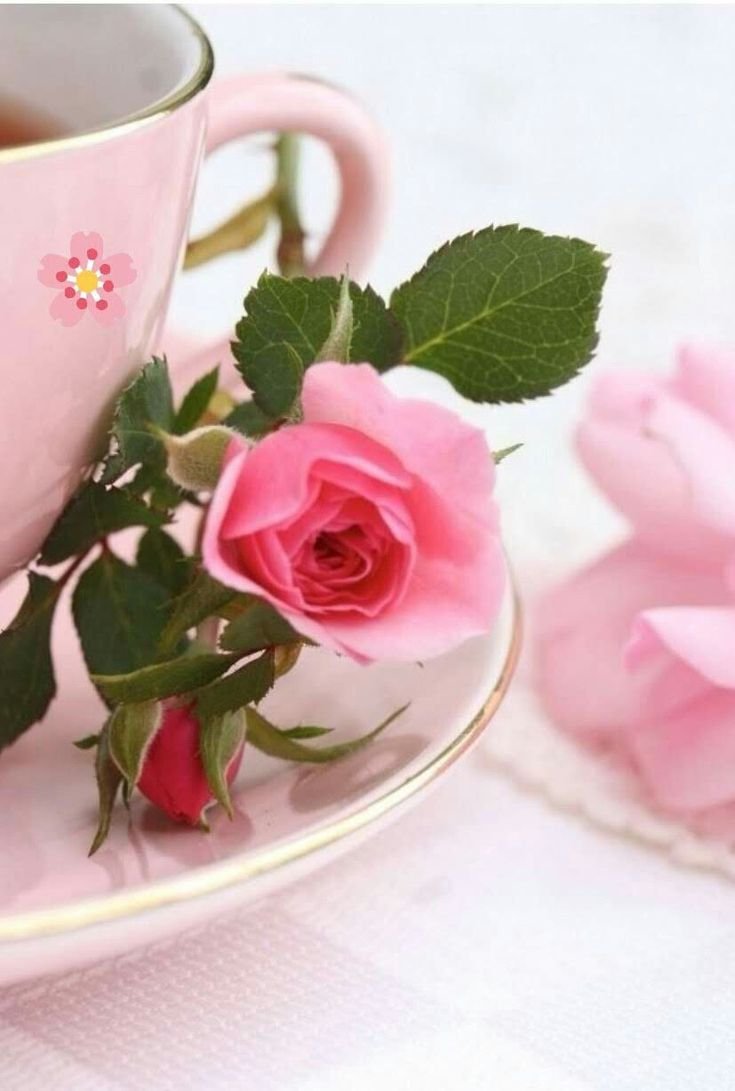 Чашечка чая и цветы