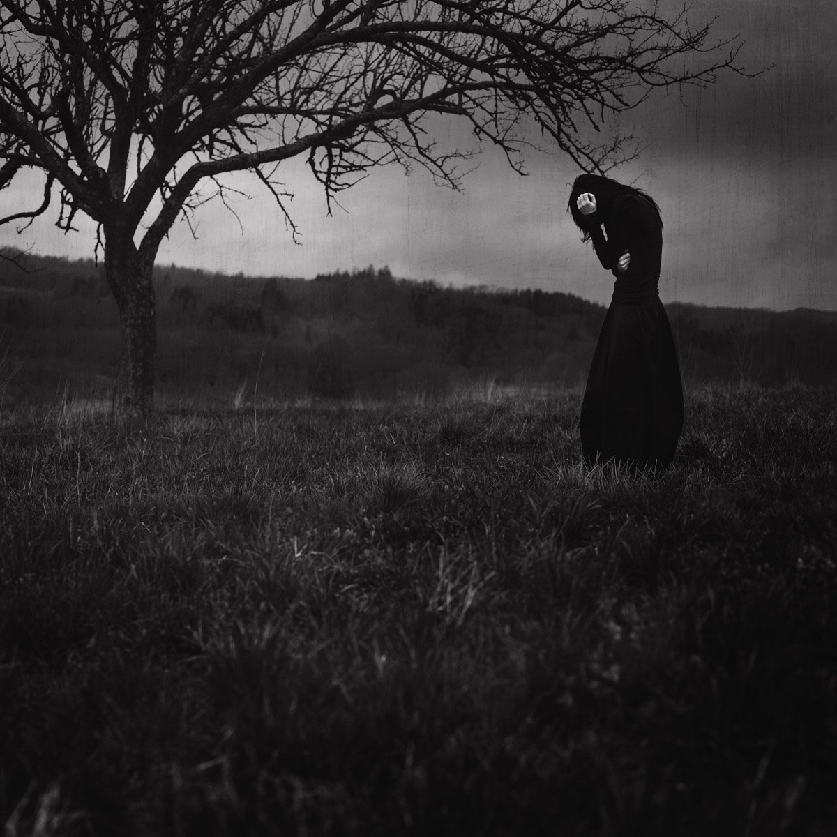 Загадочная жизнь картинки