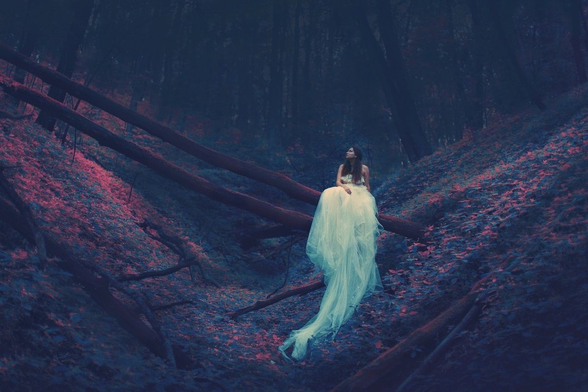 Екатерина Плотникова фотограф