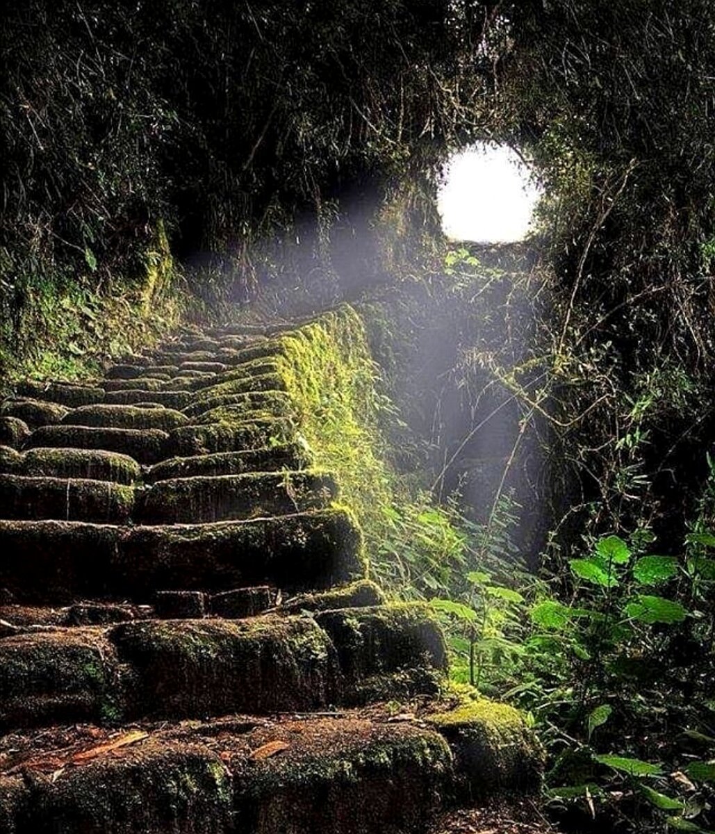 Таинственные картинки