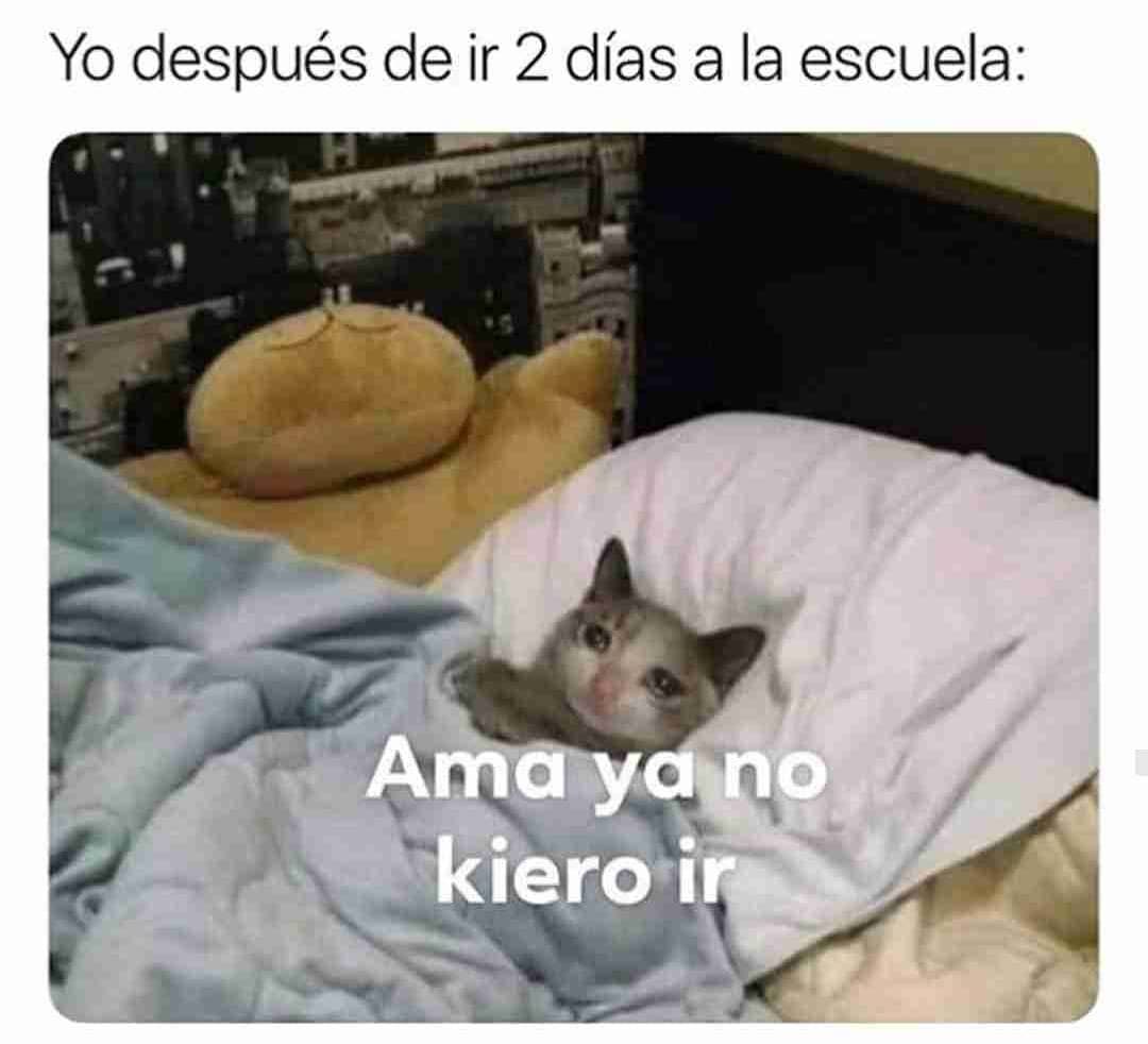 Споки ноки смешные